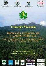 Emergenze fitosanitarie in ambito forestale